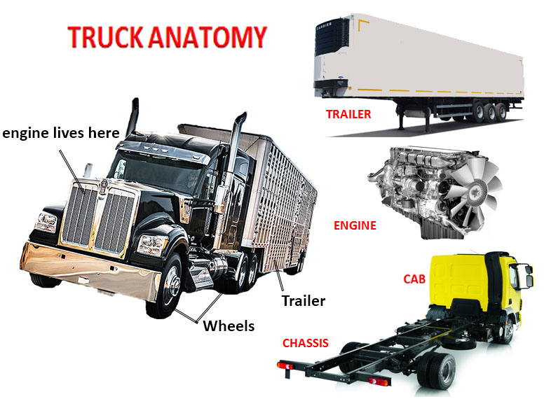 Truck anatomy