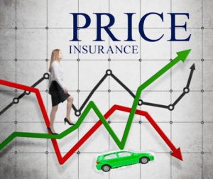 What determines the cost of insurance