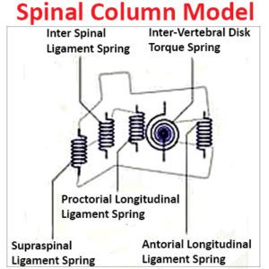 Spinal Column Model for SUV seats