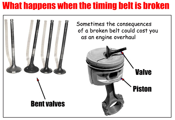 Timing Belt Replacement Cost