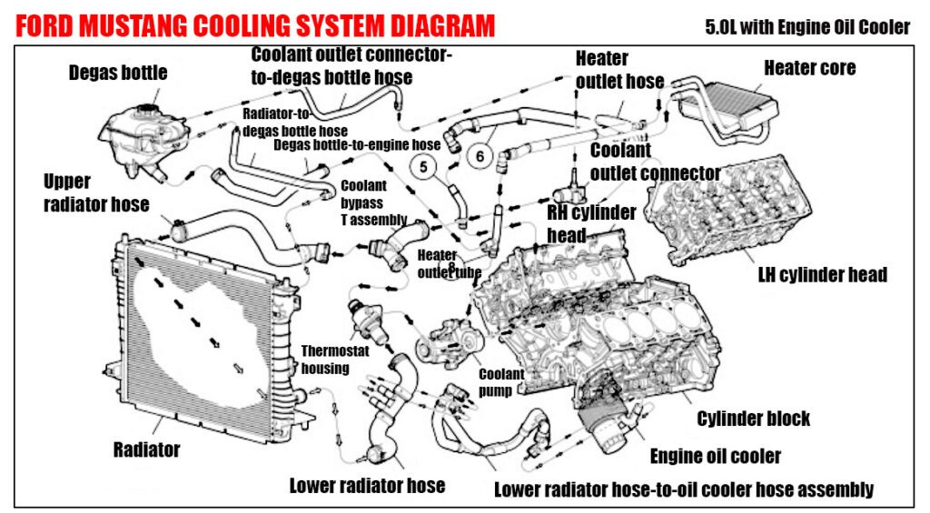Cooling System Mustang