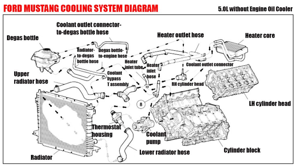 Ford Mustang Cooling Diagram 5.0L without Engine Oil Cooler