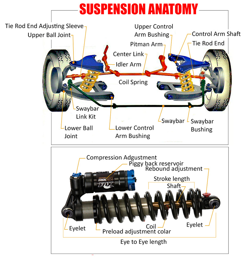 Suspension Anatomy