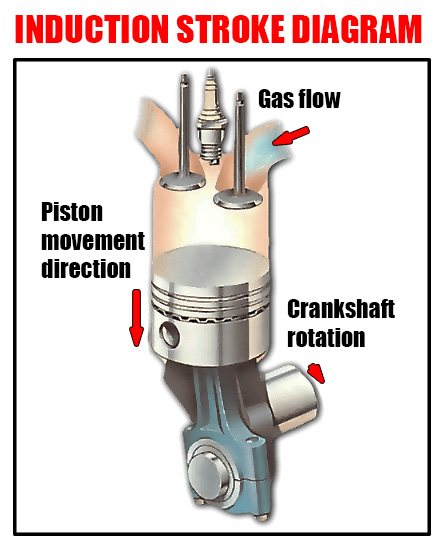 induction stroke diagram